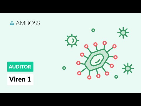 Viren Teil 1 - AMBOSS Auditor