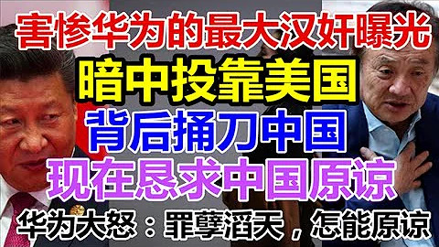 害慘華為的最大漢奸曝光，暗中投靠美國，背後捅刀中國，現在懇求中國原諒，華為大怒：罪孽滔天，怎能原諒 - 天天要聞