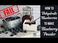 How to Dehydrate Blueberries for Blueberry Powder (OR how to save a dehydrating project fail)