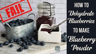 How to Dehydrate Blueberries for Blueberry Powder (OR how to save a dehydrating project fail)