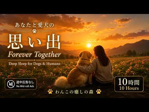 あなたと愛犬の思い出