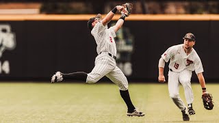 Texas Tech Baseball vs. New Mexico: Highlights (W, 10-4) | 4.28.2021