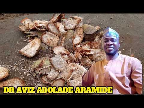 OKA ORI Spirituality Natural Viralvideo