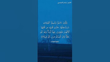 سورة النساء ( ١٢٢ - ١٢٣) / ياسر الدوسري