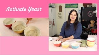 How to Activate Yeast | Proving Active Dry Yeast