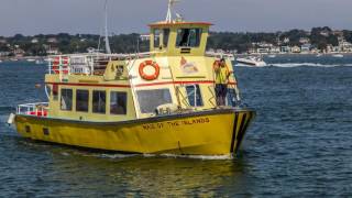 Brownsea Island in 4k