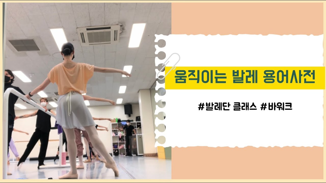 향레리나! 이 발레동작 뭐야?! | 움직이는 발레용어 사전 _발레단 클래스편