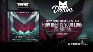 How Deep Is Your Love vs. Arena (W&W Mashup) (Tomorrowland Brasil 2016)