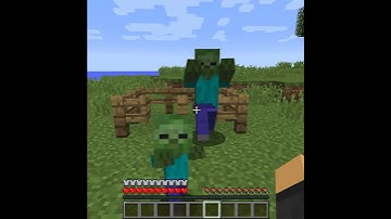 You Can Make Your Armor Invisible