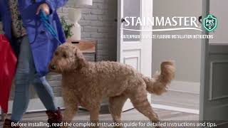 Stainmaster Pet Protect Installation Video