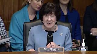Sen Susan Collins testimony