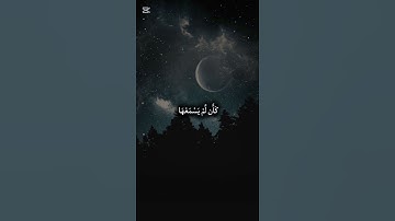 #سورة #لقمان #الشيخ #ياسر_الدوسري -الوصف-