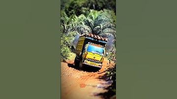 gagal lagi, truk muatan sawit terjebak di tanjakan licin #trukoleng #truksawit #trukviral #shorts