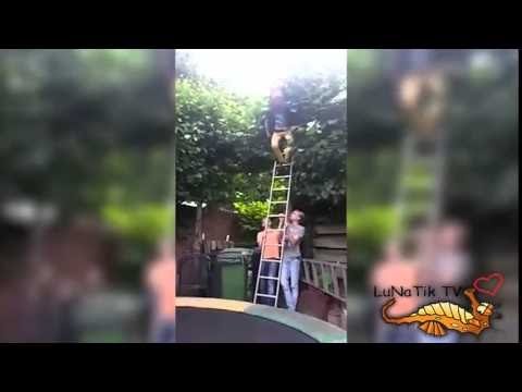 6秒で笑える映像！おもしろすぎる動画特集 おもしろおバカ映像, 爆笑おバカハプニング映像集！※痛い場面あり 2 【PK Funny】