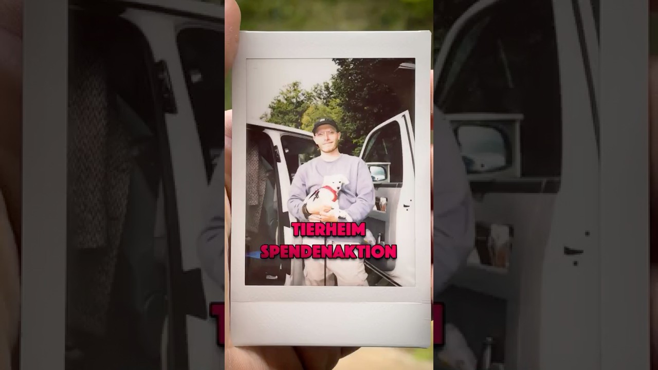 10 CENT für jeden ABONNENTEN! ❤️ #tierheim #spende #hund #katze