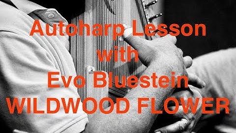 Beginning Autoharp Lesson