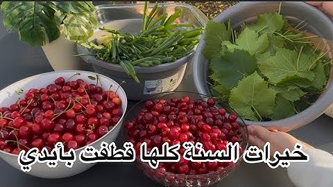وين هي المضغوطة يلي بدها تشوف نتيجة الهيطلية ومربى الكرز  بنفس اليوم 😏تفضلي صار الفيديو جاهز