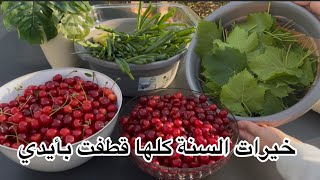 وين هي المضغوطة يلي بدها تشوف نتيجة الهيطلية ومربى الكرز  بنفس اليوم 😏تفضلي صار الفيديو جاهز
