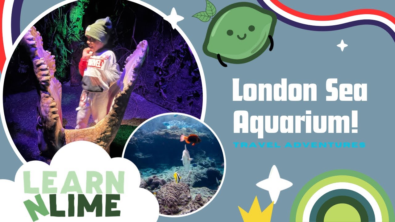 🦈 Sky Visits the London Aquarium | Sharks, Sea Creatures & London Adventures 🇬🇧