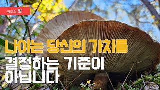 Age is not a criterion for determining your worth #Sweet Mushrooms #Wisdom of the Day by seseco_신작가의다큐 441 views 6 months ago 2 minutes, 15 seconds