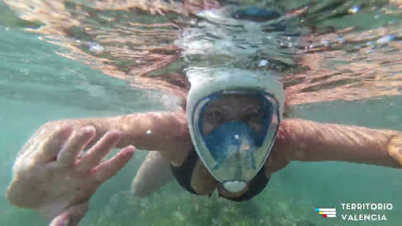 Playa de la Renegà: naturaleza, mar y snorkel entre Benicàssim y Oropesa-TerritorioValencia.es