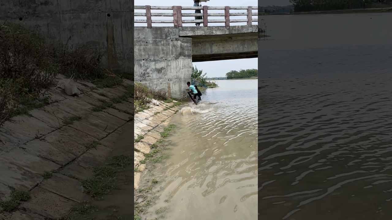 #fishing #riverfishing #viral #villagelife