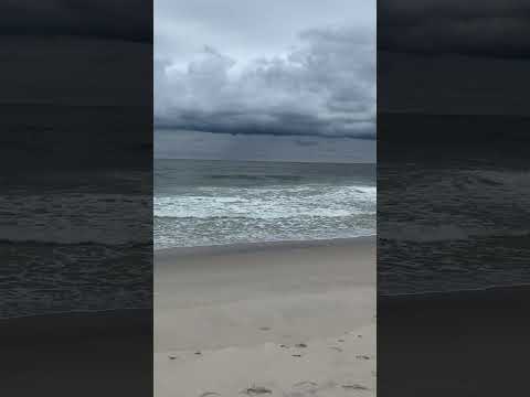 Видео: Отворен ли е плажът Lavallette?