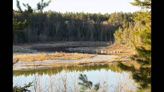 North Country Trail: Trout Brook Pond