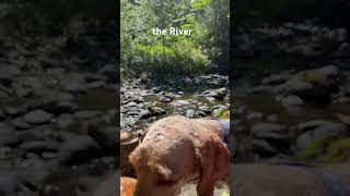 Enjoy life and be happy. Let the river wash away your pain.