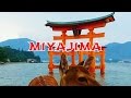 MIYAJIMA - Dal grande Torii fino in cima al monte Misen
