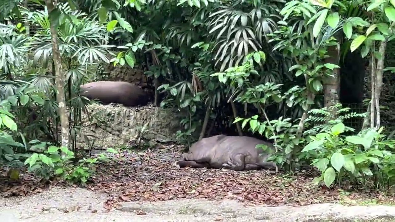 River wonders - boat ride [FULL]