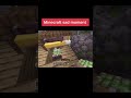 La tristesse du villageois【Minecraft】