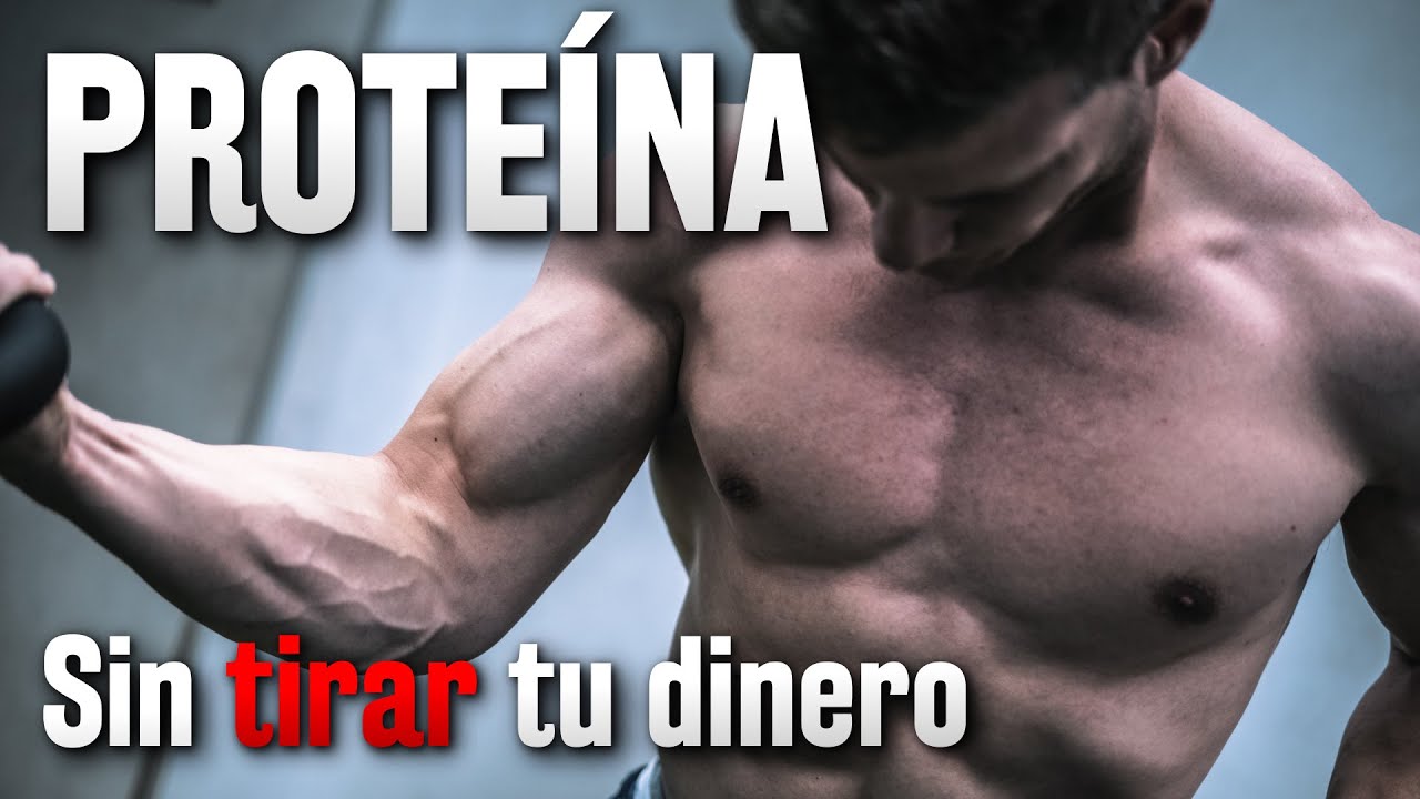 PROTEÍNA // ¿Cuánta debes TOMAR para ganar MASA MUSCULAR?