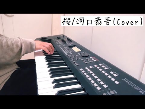 桜 / 河口恭吾(Cover) 坂田飛鳥
