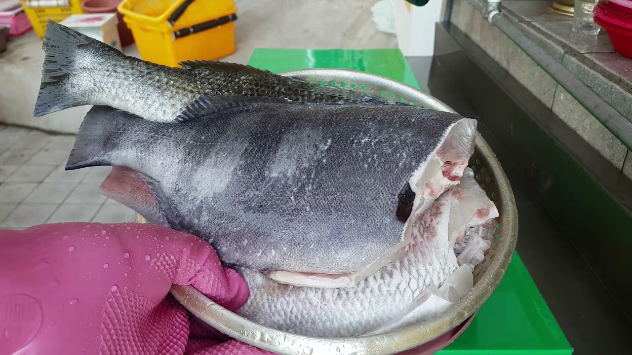 돌돔 없다며?? 와 이카는데?? 앙?? famous and delicious three sea bream in korea