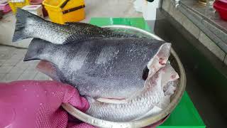 돌돔 없다며?? 와 이카는데?? 앙?? famous and delicious three sea bream in korea!! [eng sub]