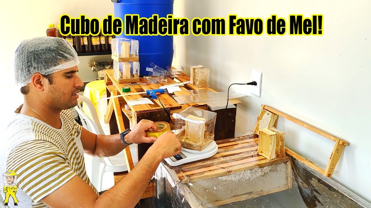 DEMONSTRATIVO DOS CUBOS DE MADEIRA COM FAVO DE MEL PARA VENDA | CRIANDO ABELHAS!