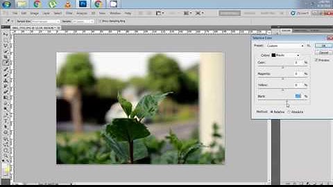 How to change the leaves color in adobe photoshop