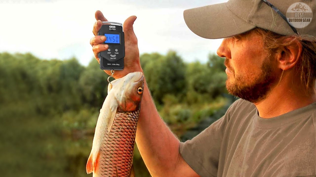 2023 Digital Fish Scales Review: Choose the Perfect Scale for Fishing, by  Magdalena