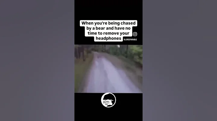 Proverbs 17:12 “Better to meet a bear robbed of her cubs than a fool bent on folly.”