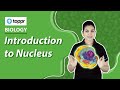 Introduction to Nucleus | Cell | Class 8 Biology