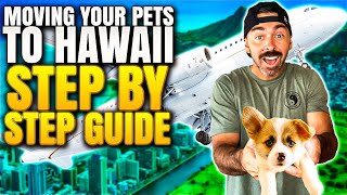 Moving With Your Pets To Hawaii | Bring Your Pets to Hawaii