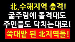 北,수해지역 충격! 굶주림에 돌격대도 주민들도 닥치는대로! 쑥대밭 된 北지역들!