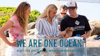 WSL And Shiseido Team Up With Kuleana Coral, Joining Tradition Of Surfers As Environmental Activists