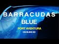 Barracudas blue port aventura