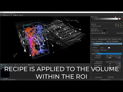 [Quick Tips] ROI Processing