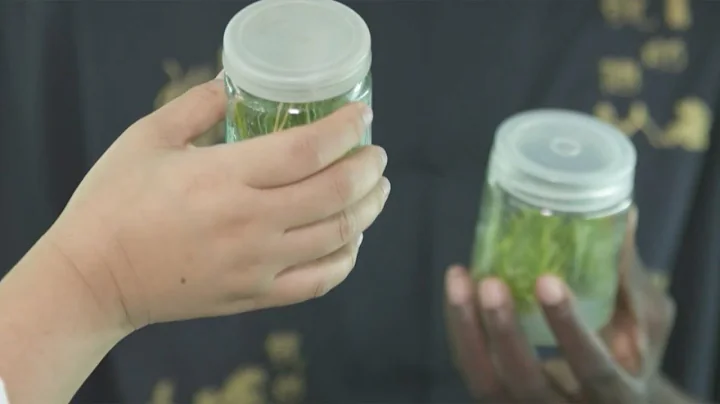 The Point: How does China's foreign aid differ from the West's?