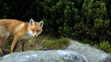 Unicorn Run game 2019 link description go download and enjoy