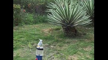 Tên Lửa Nước - Water Rocket