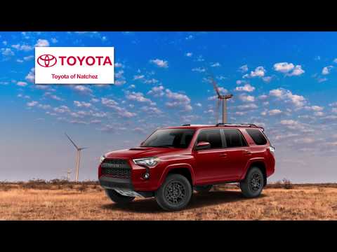 Pro Automotive Specialists Natchez Ms